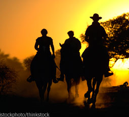 Trail Riding Silhouette