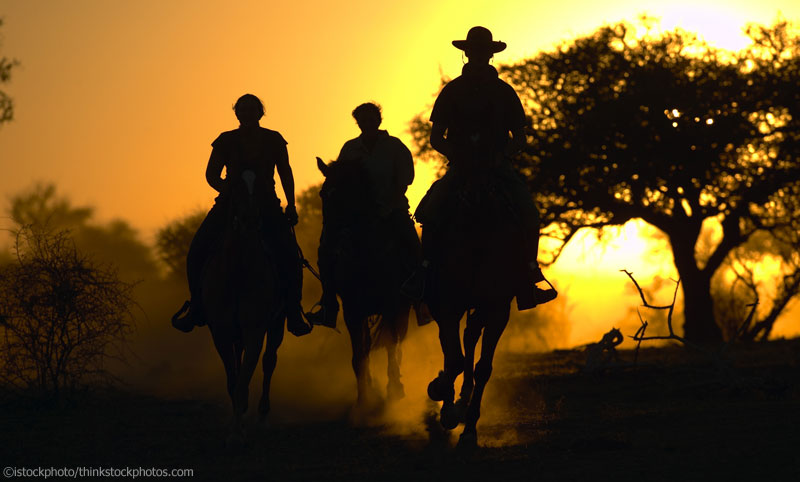 Trail Riding