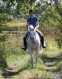 Trail riding