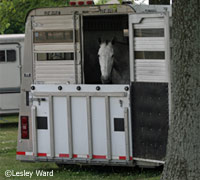 Horse trailer