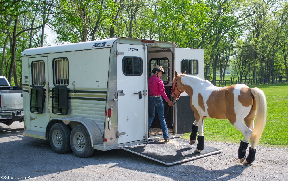 Loading a Horse in the Trailer