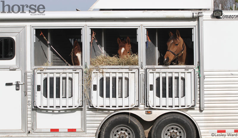 Horse Trailer