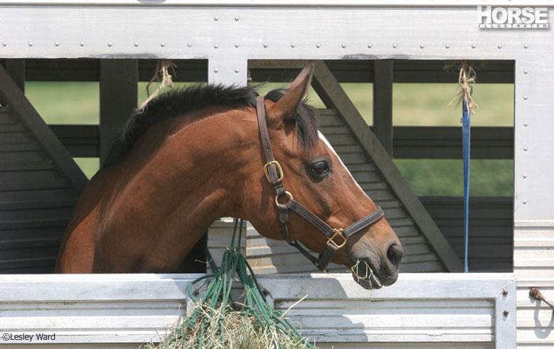 Horse trailer