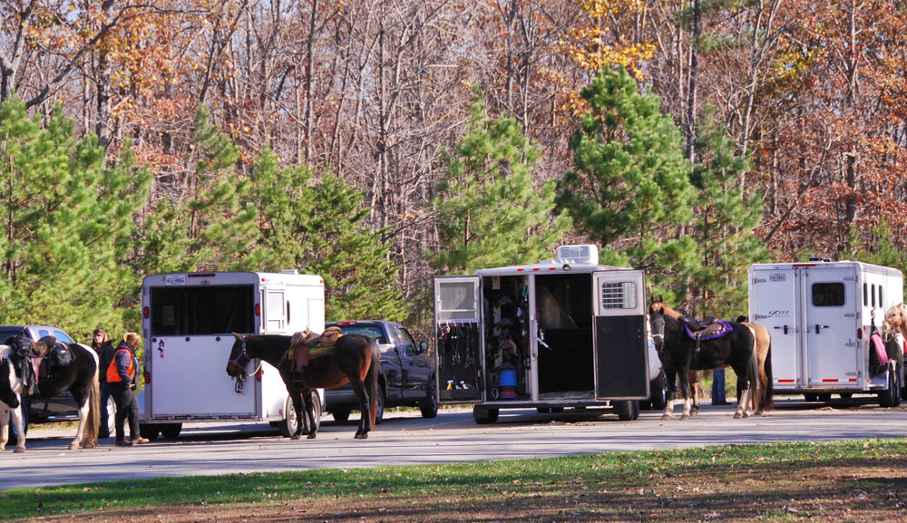 Horse Trailers