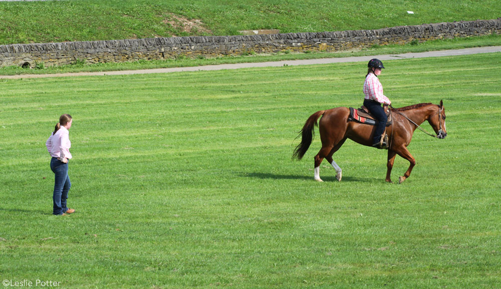 Horse Trainer