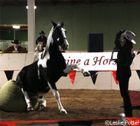 Sheryl Crow and her horse, Lady