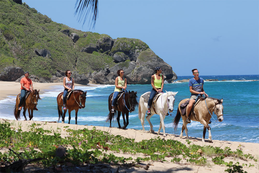 Tropical Trail Rides