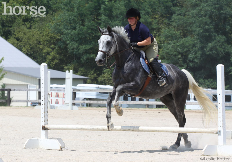 Trot Fence Trot Fence