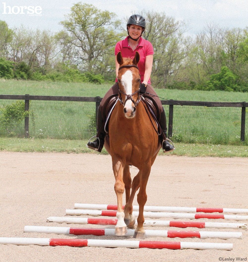 Trotting Poles