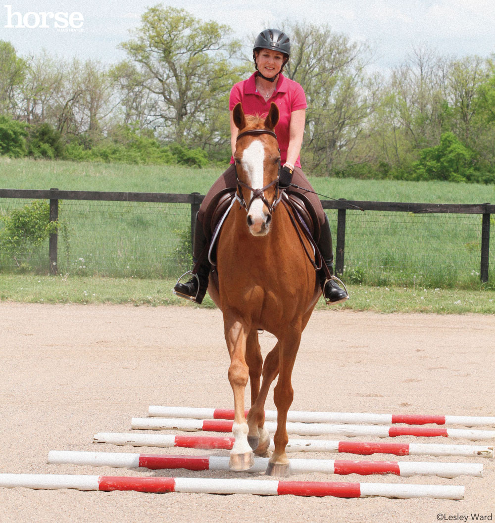 Trotting Poles