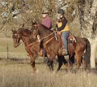 Trail riders