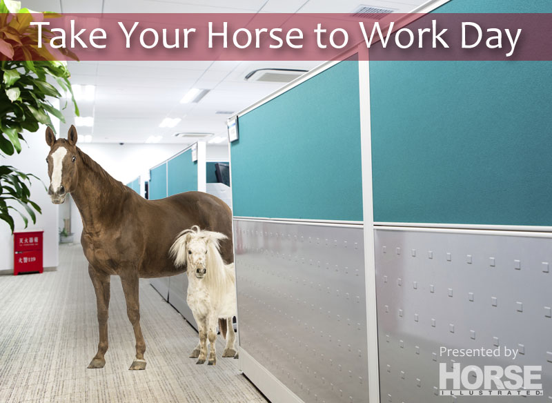 Take Your Horse to Work Day