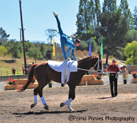 Introduction to Vaulting camps are part of an plan to have vaulting in the 2010 WEGs