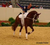 Vaulting competitor