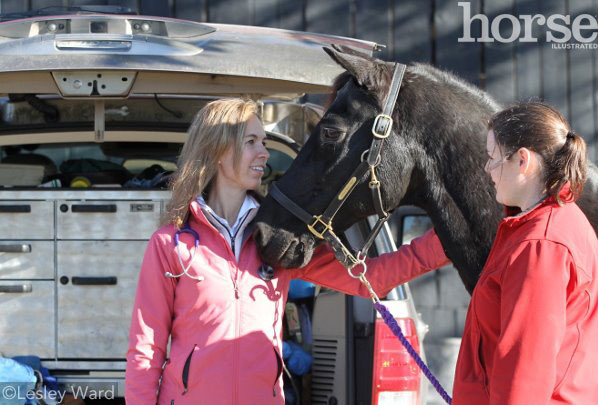 An equine vet, senior horse, and horse owner