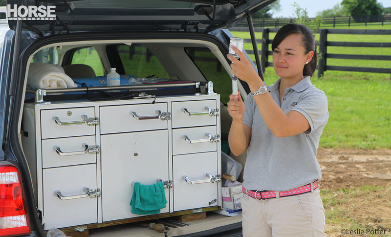 Equine vet drawing a vaccine