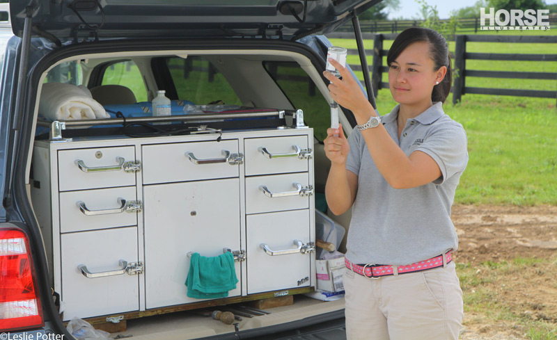 Equine Vet Preparing Vaccines