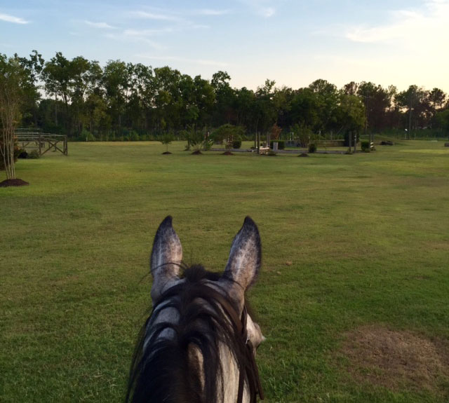 View from the Saddle