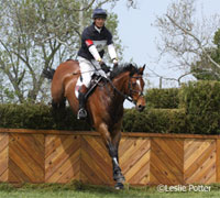 William Fox-Pitt and Parklane Hawk