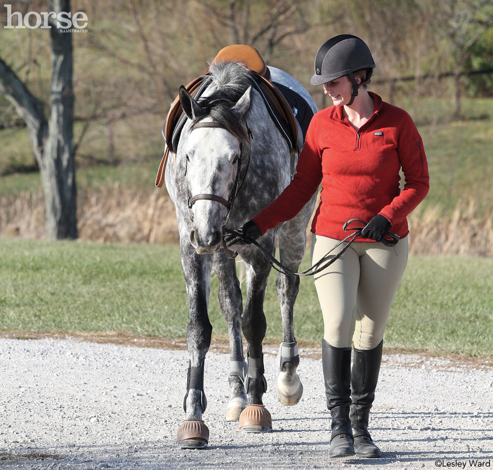 Horse and Human