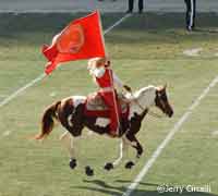 The Kansas City Chiefs mascot horse Warpaint has renewed the Paint Horse tradition