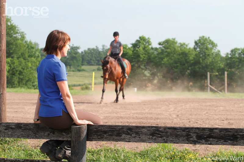 Watching a Horse