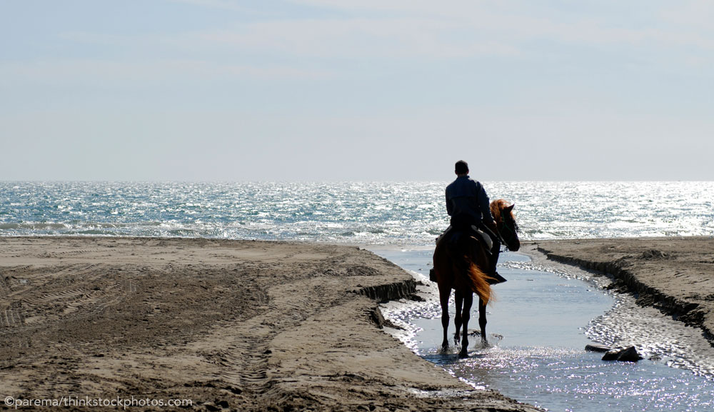 Water Crossing on the Beach