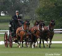 Chester Weber dressage