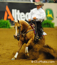 Shawn Flarida at the World Equestrian Games