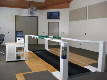 Rood and Riddle equine treadmill