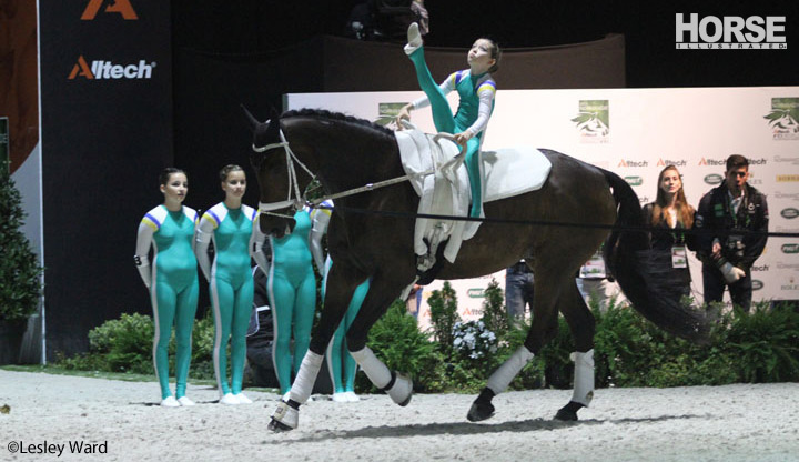 Team Austria Vaulting