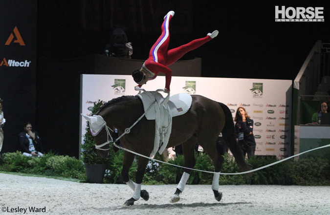 Team Austria Vaulting