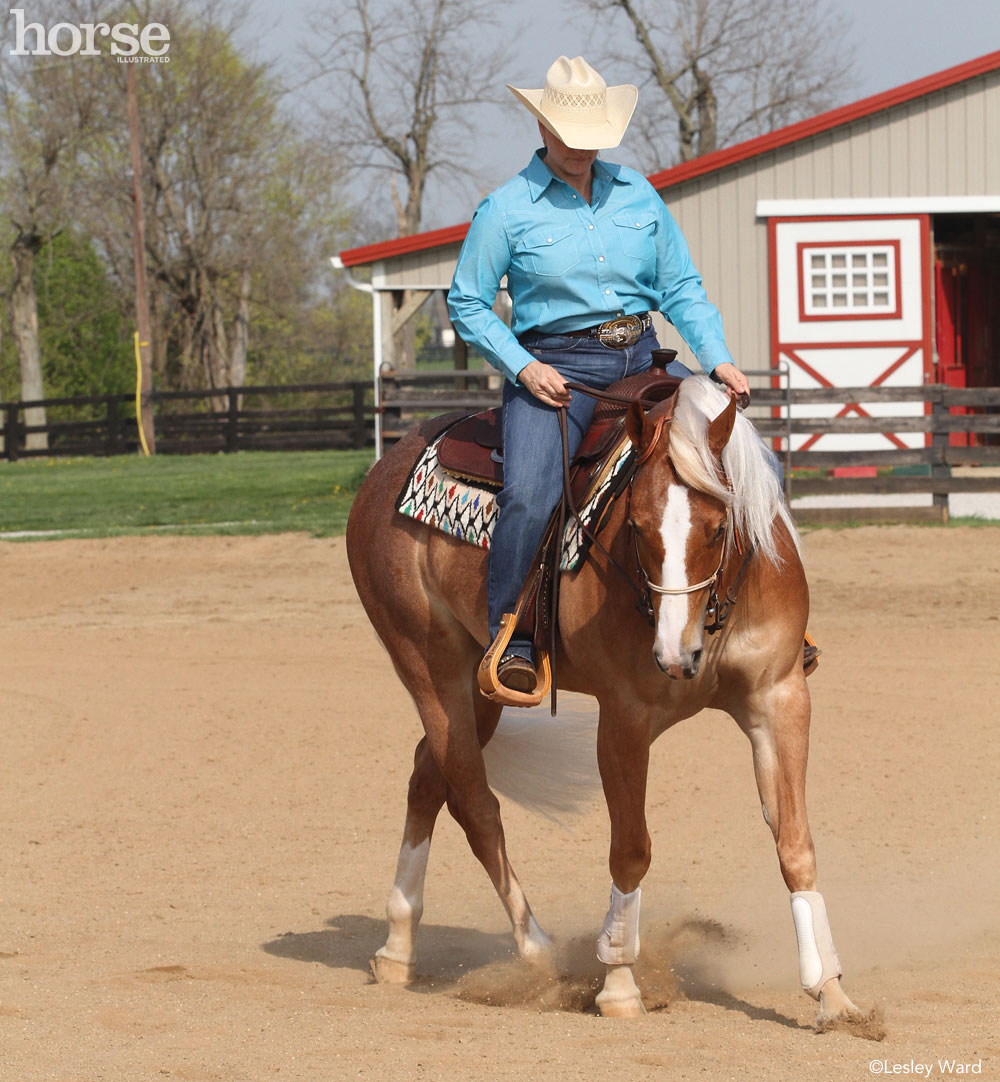 Schooling in the Arena