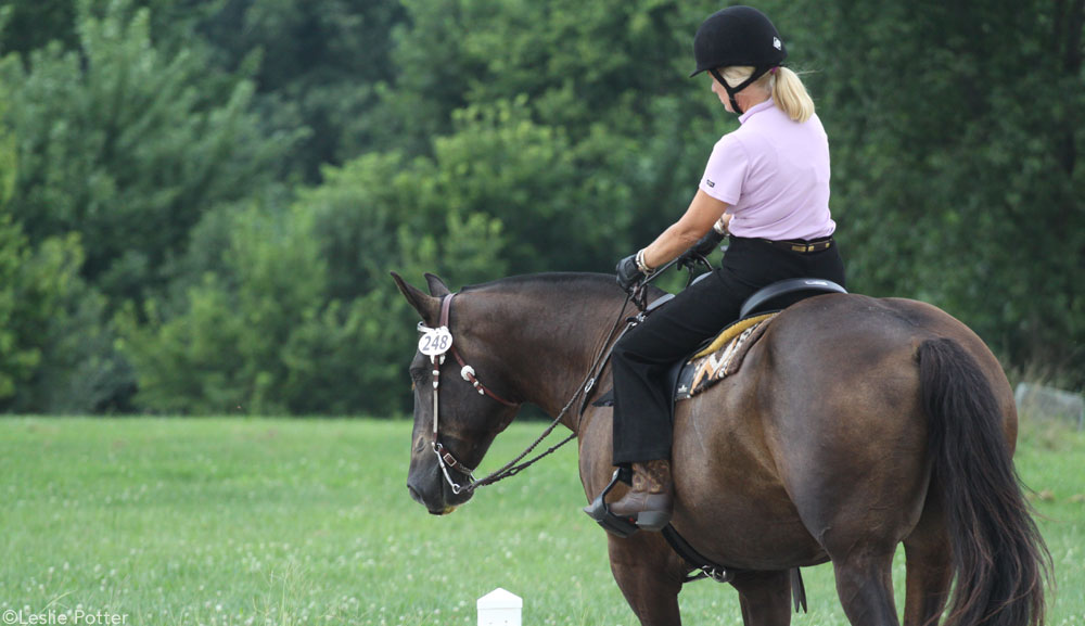 Western Dressage