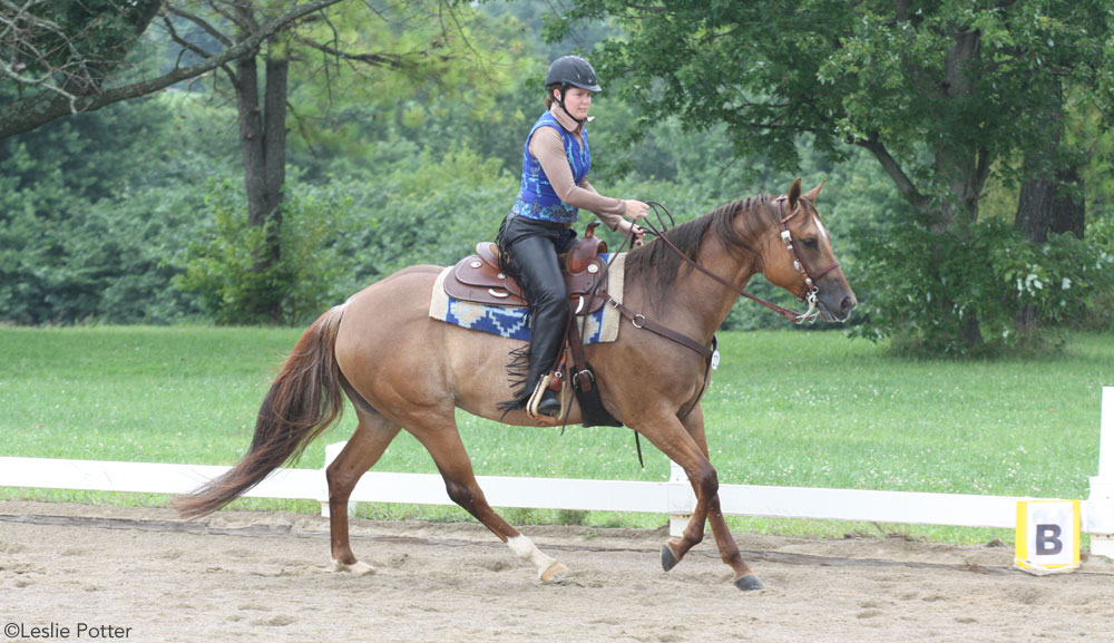 Western Dressage Lope