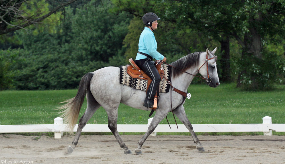 Western Dressage