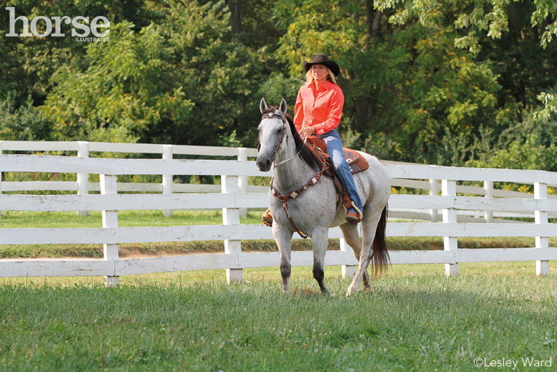 Western Gray Horse