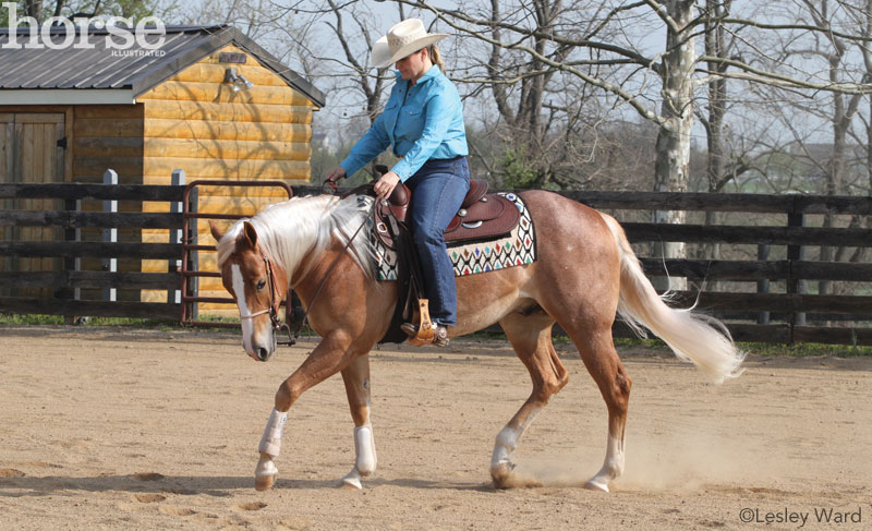 Soften a Tense Horse