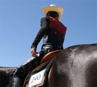 The AQHA and NSBA met to discuss a western judging system