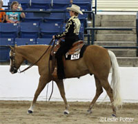 Western pleasure horse