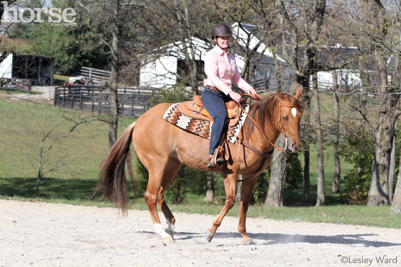 Teaching the Pivot Under Saddle