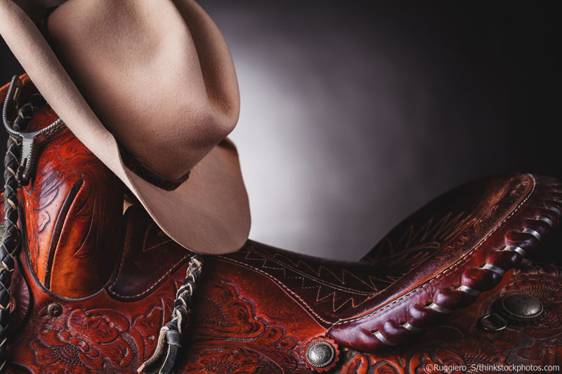 Western Saddle