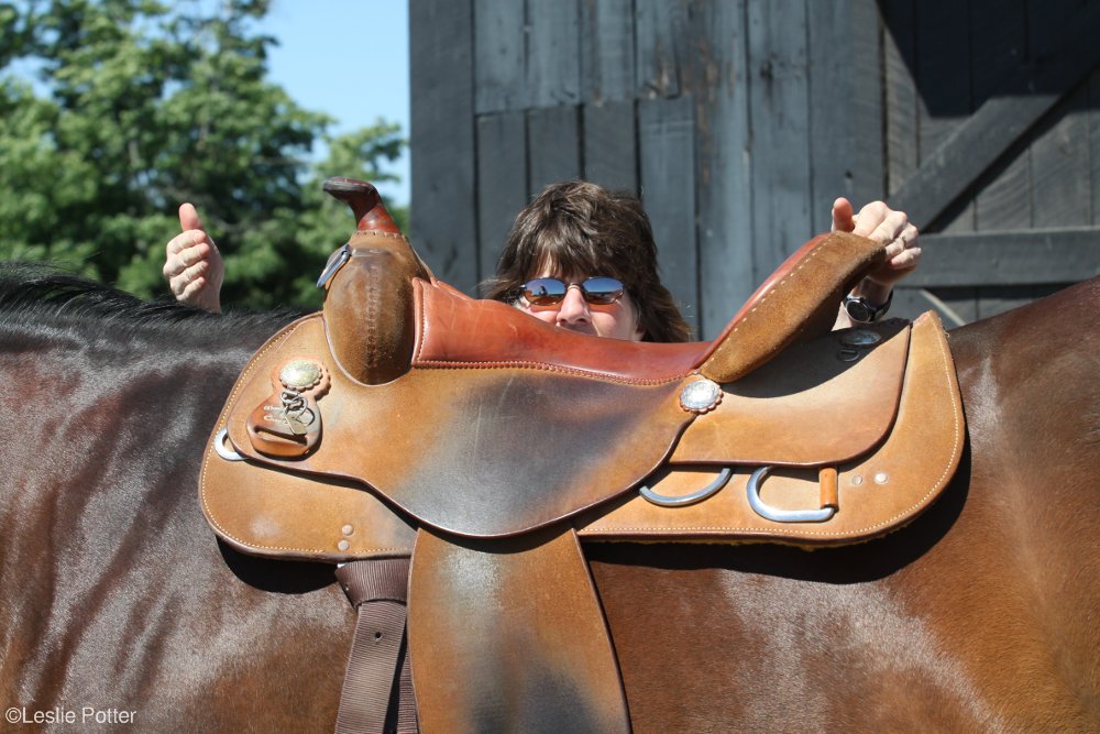 Western Saddle Fit