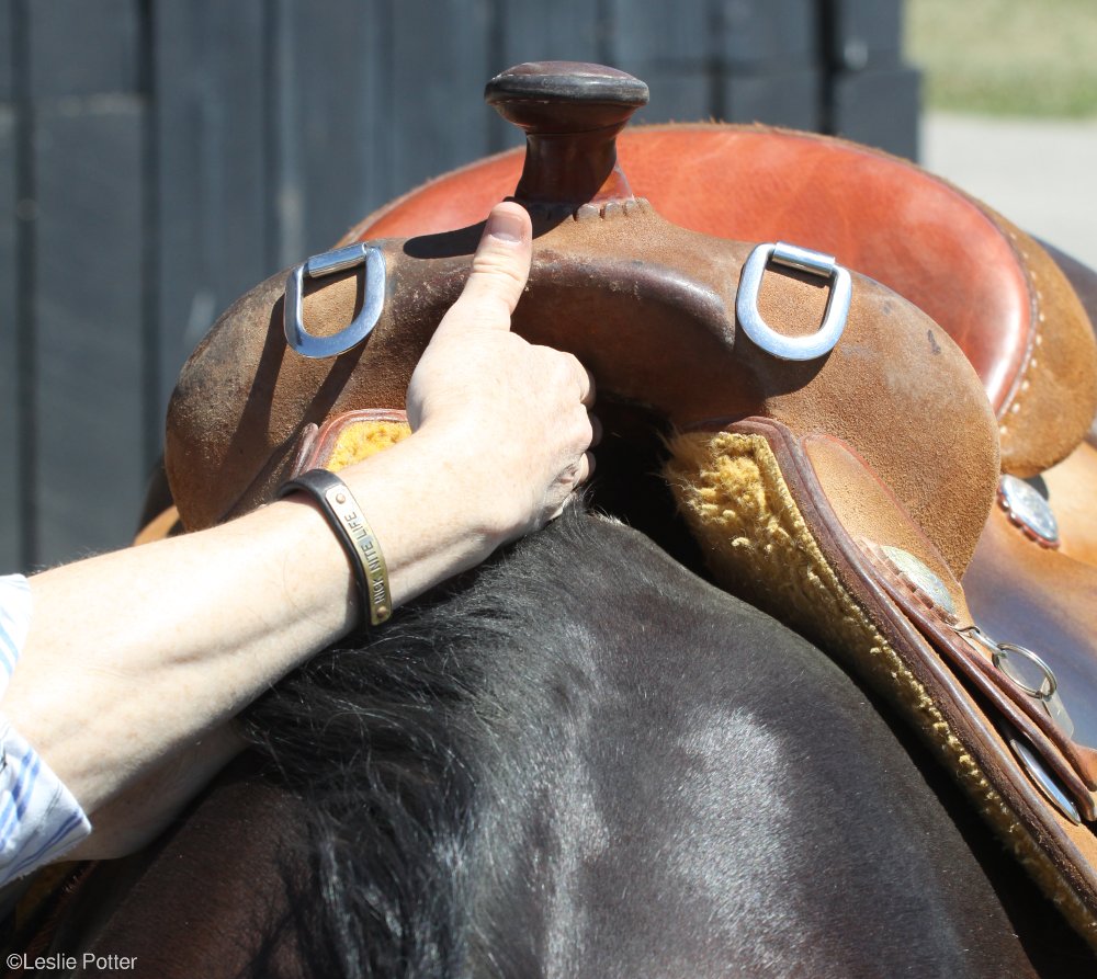 Western Saddle Fit