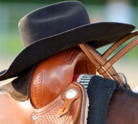 Western saddle and bridle
