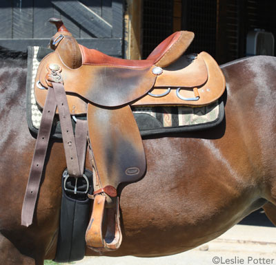 Western Saddle