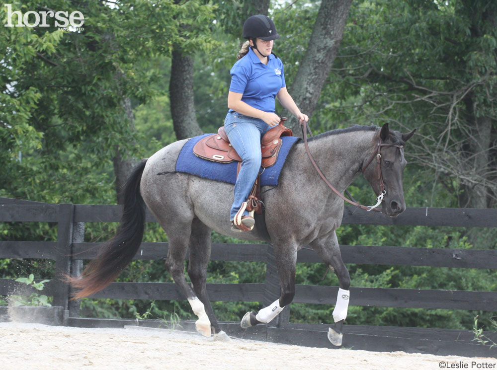 Loping on a Loose Rein