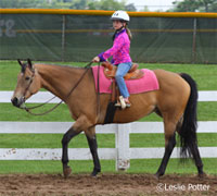 Kid's horse