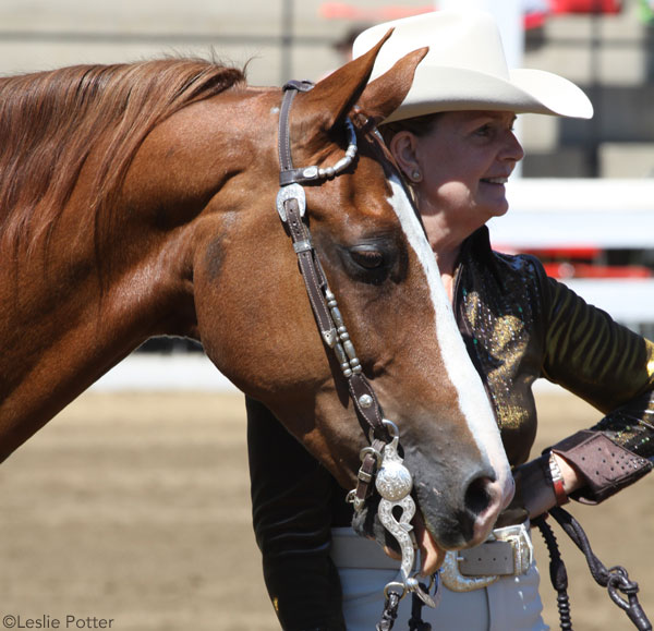 Western show