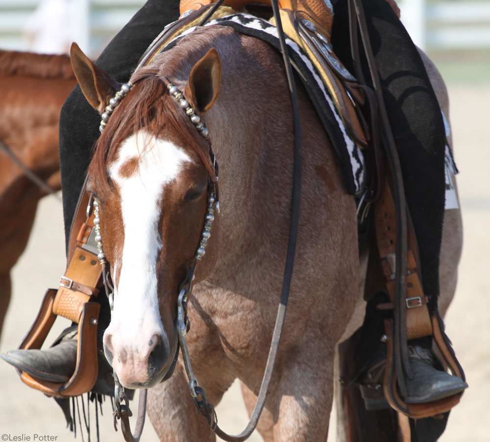 Western Stirrups